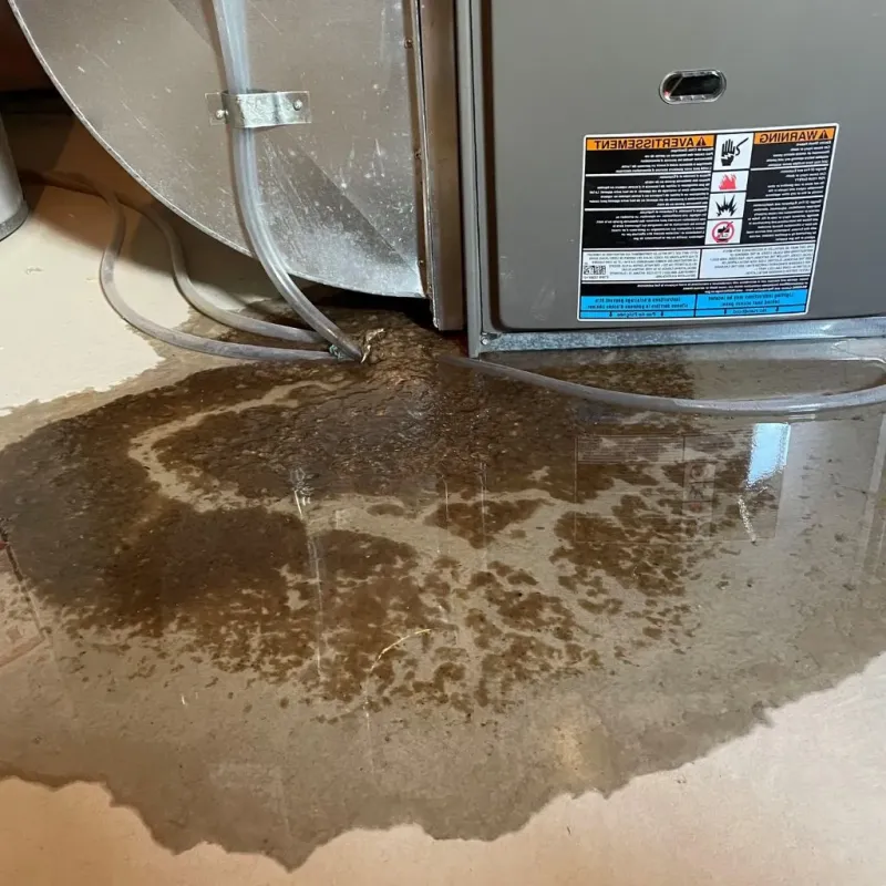 Pipe Burst and Leak Restoration in Warren, MA