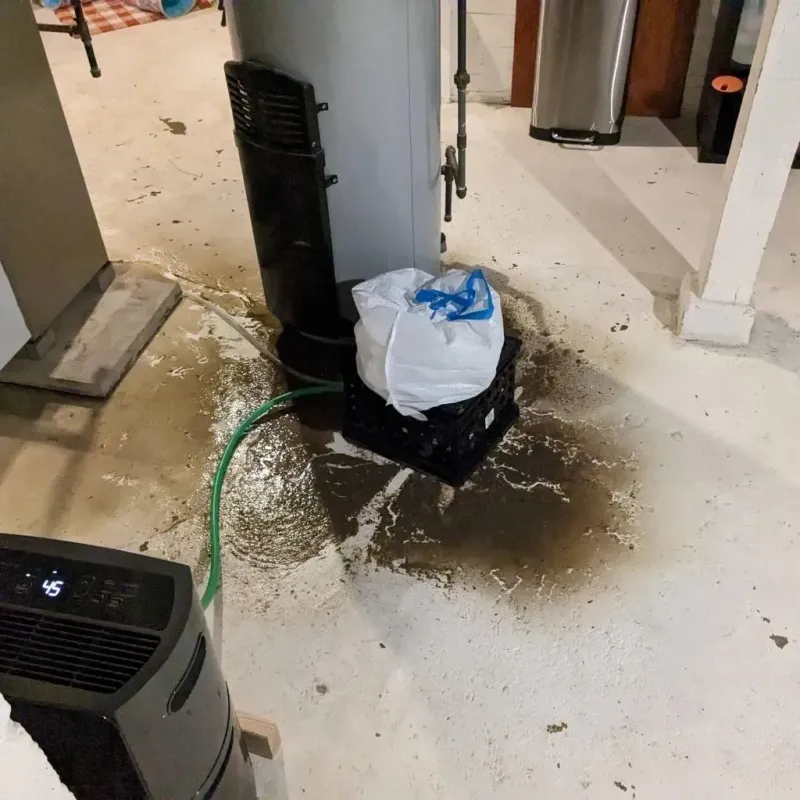 Sewage Backup Cleanup Service in Warren, MA